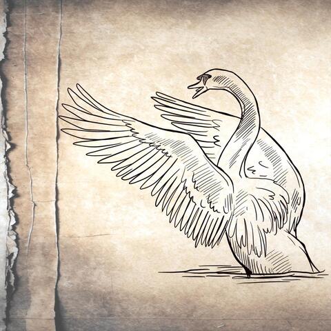 The Swan Song album art