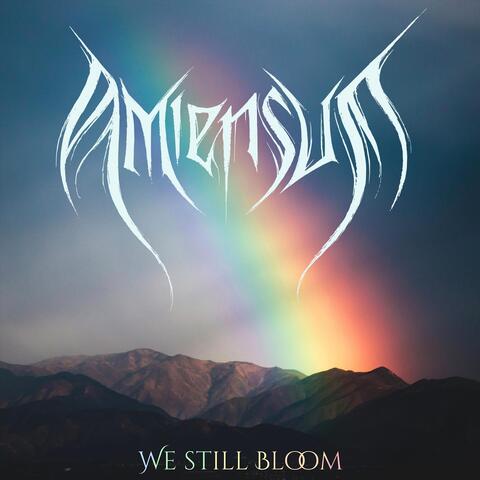 We Still Bloom album art