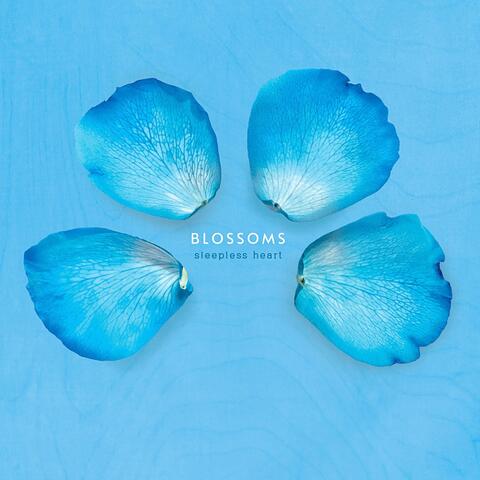 Sleepless Heart album art