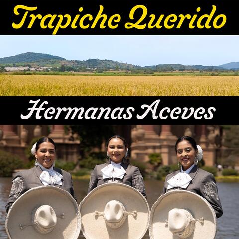 Trapiche Querido album art