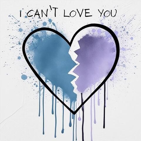 I Can't Love You album art