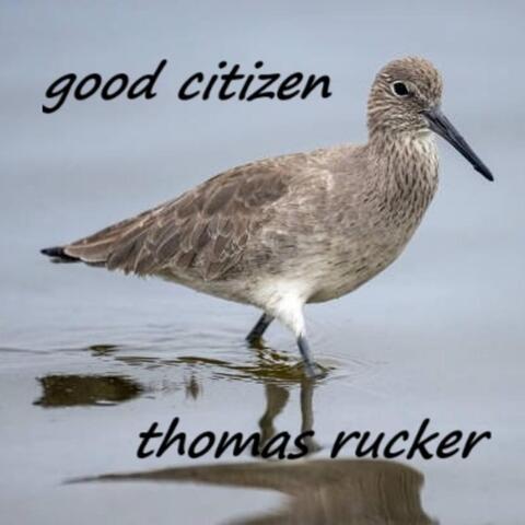 Good Citizen album art