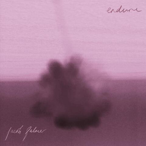 Endure album art
