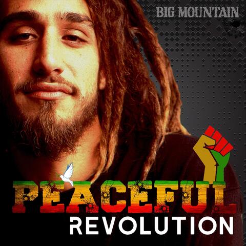 Peaceful Revolution album art