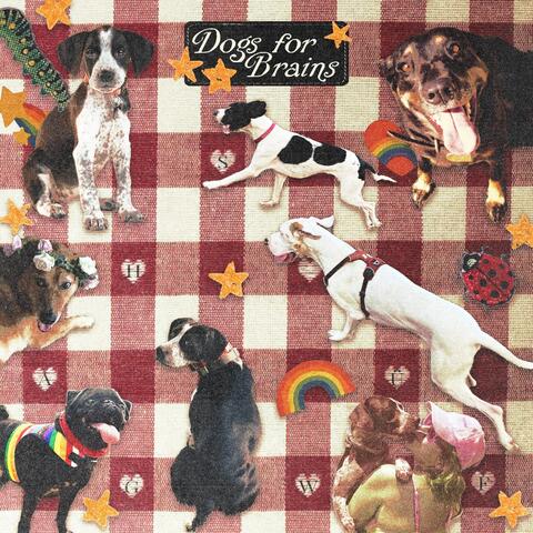 Dogs for Brains album art