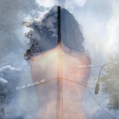 I'm Not Adjusting Well album art
