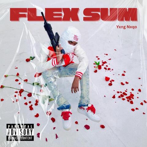 Flex Sum album art