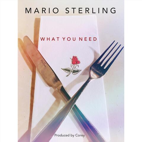 What You Need album art