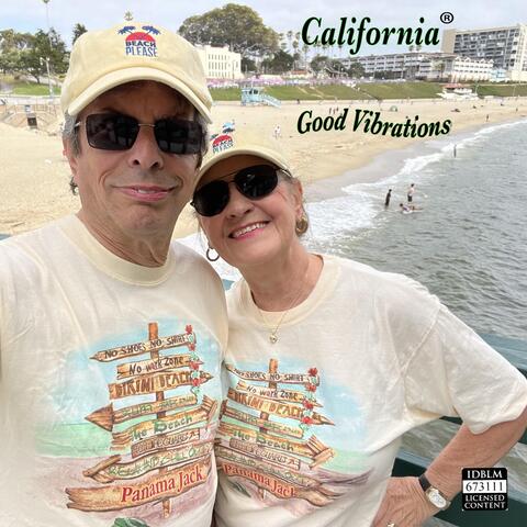 Good Vibrations album art