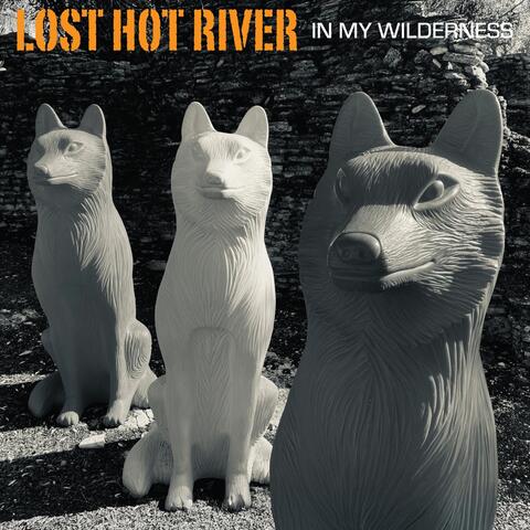 In My Wilderness album art