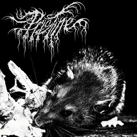 VILE! album art