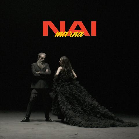 Nai Marna (feat. Hamid Ali Naqeebi) album art