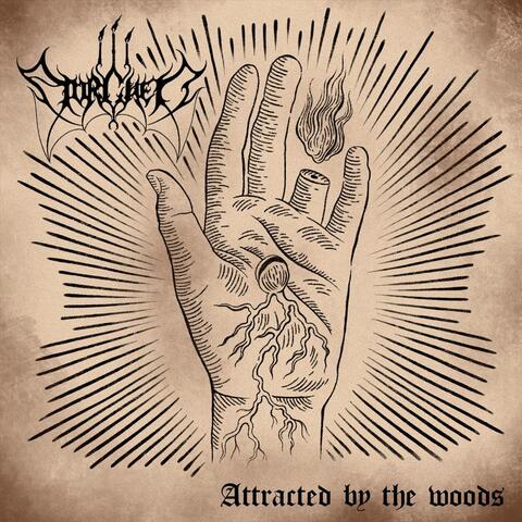 Attracted By The Woods album art
