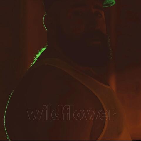 wildflower album art