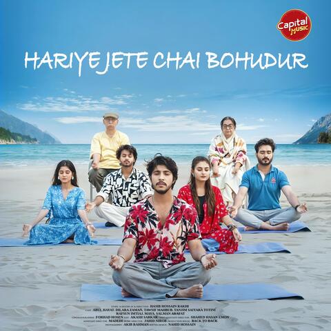 Harite Jete Chai Bohudur album art