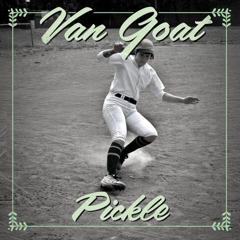 Pickle album art