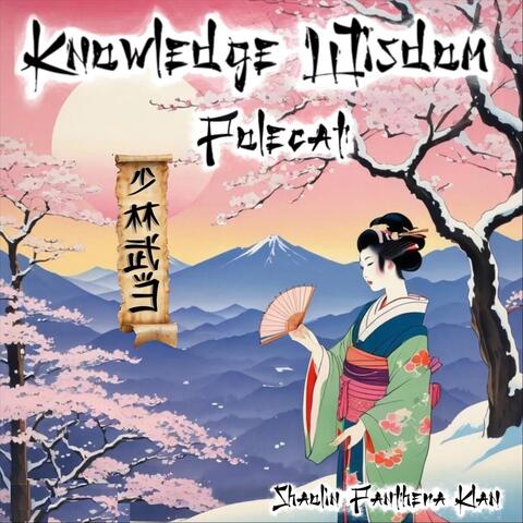 KNOWLEDGE WISDOM album art