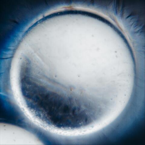Soul Chemistry album art