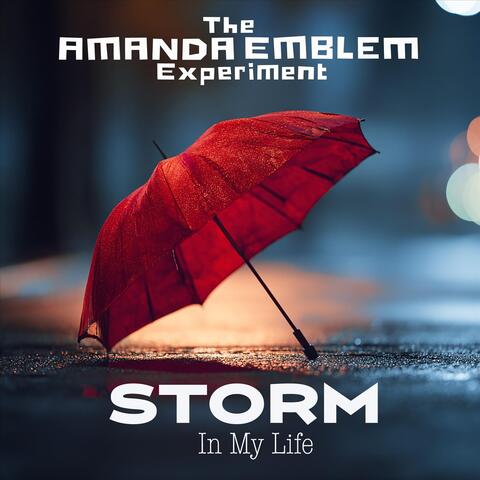 Storm in My Life album art