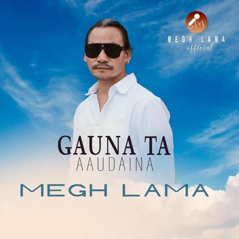 Gauna Ta Aaudaina album art