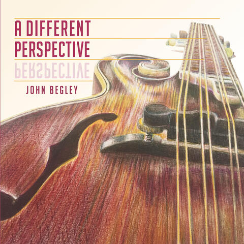 A Different Perspective album art