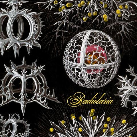 Radiolaria album art