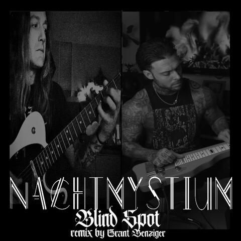 Blind Spot (Grant Benziger remix) album art