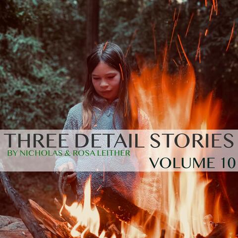 Three Detail Stories, Vol. 10 album art