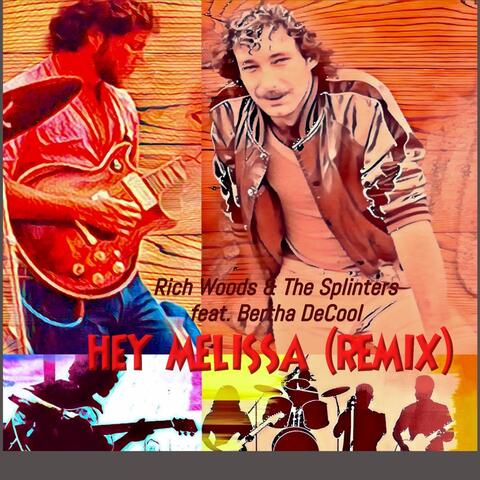 Hey Melissa (Remix) [feat. Bertha DeCool] album art