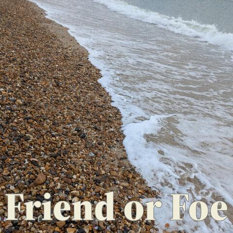 Friend or Foe album art