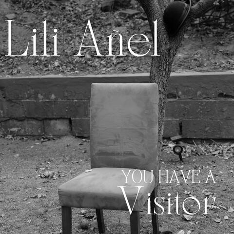 You Have a Visitor album art