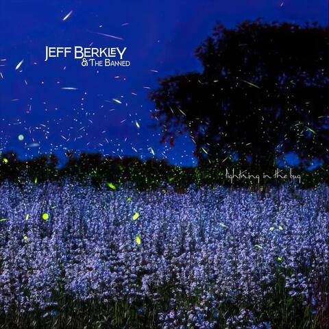 Lightning in the Bug album art
