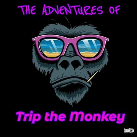 The Adventures Of album art