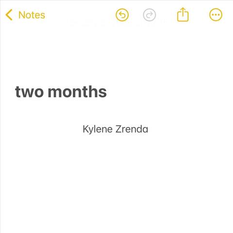 two months album art
