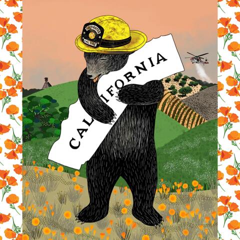 California Poppy album art