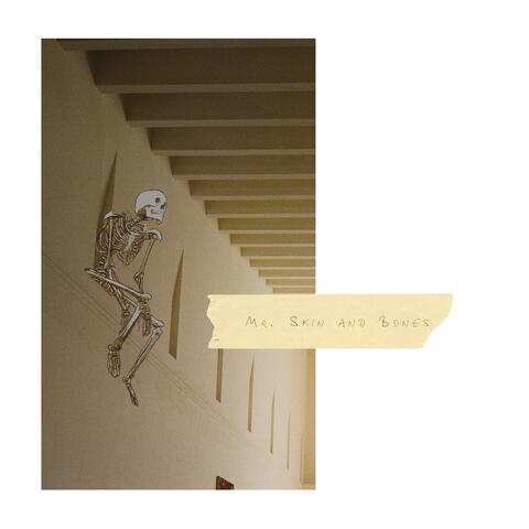 Mr. Skin and Bones album art