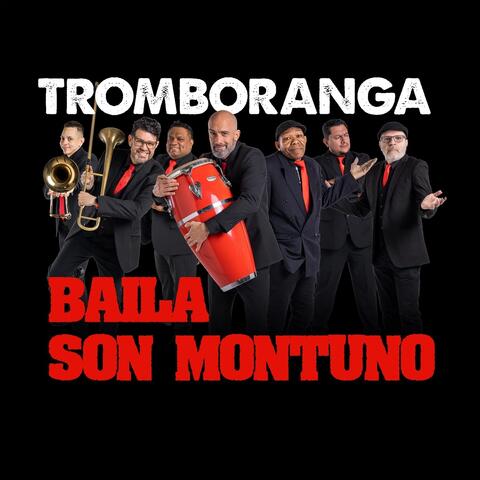 Baila Son Montuno album art