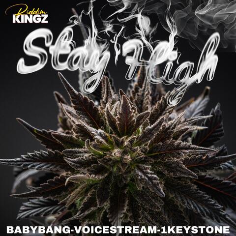 Stay High album art