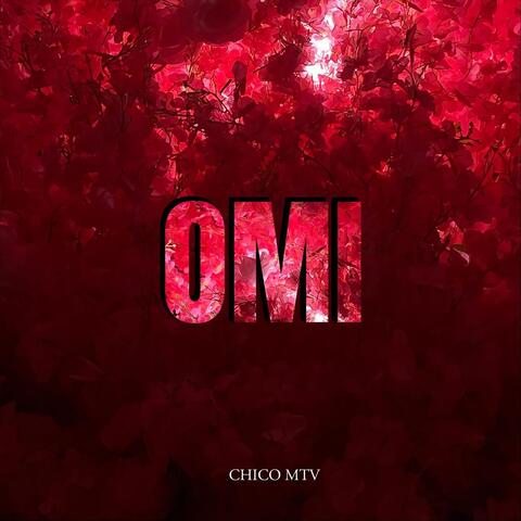 OMI album art