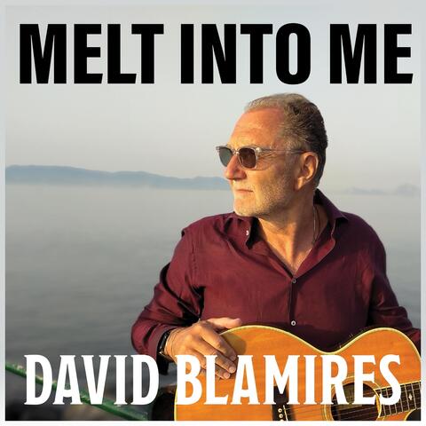 Melt Into Me album art