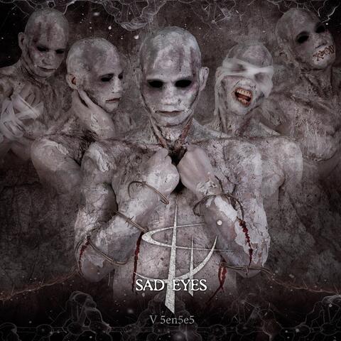V 5en5e5 album art