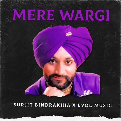 Mere Wargi album art