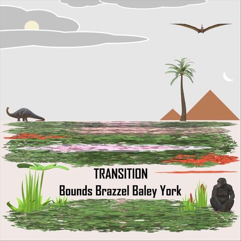 Transition album art