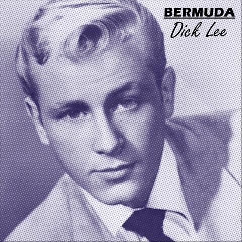 Bermuda album art