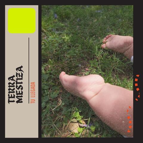 Tu Llegada album art