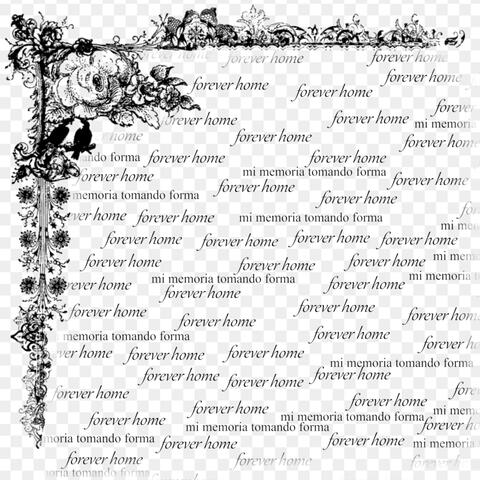 four song split album art