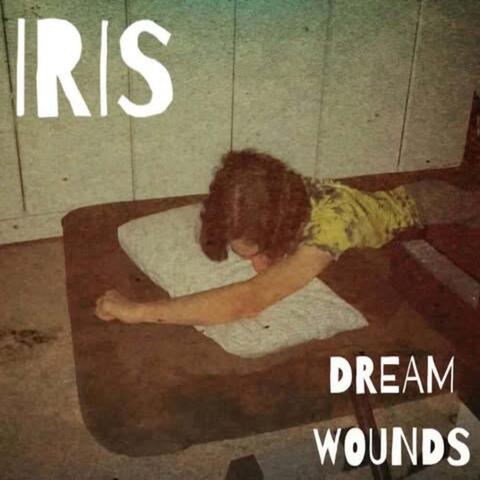 Dream Wounds album art