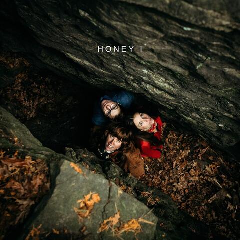 Honey I album art