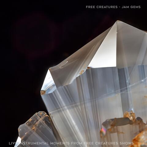 Jam Gems - Live Instrumental Moments from Free Creatures Shows album art