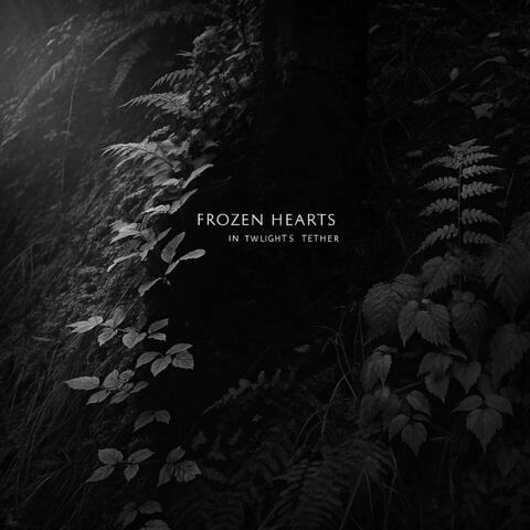 Frozen Hearts in Twilight's Tether album art
